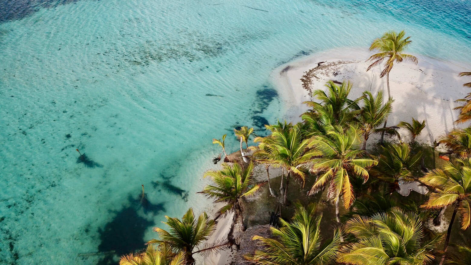 location villa avec piscine sainte luce martinique