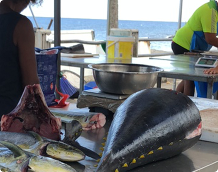 location vacances sainte luce martinique : Entre terre et mer