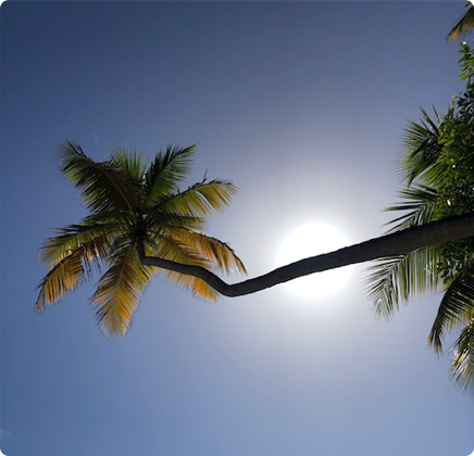 location villa sainte luce martinique : Découvrez la Martinique en toute liberté